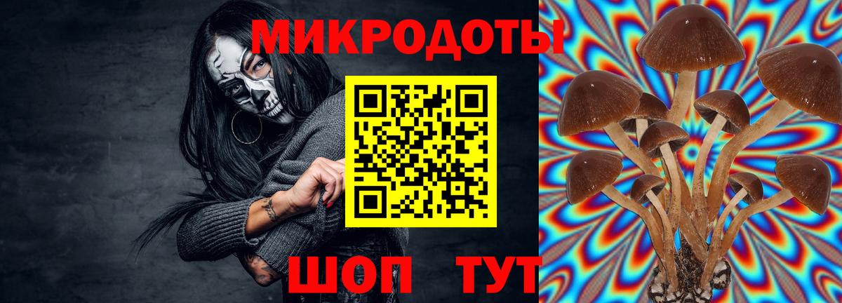Арзамас  Псилоцибиновые грибы Cubensis  Вход с VPN 